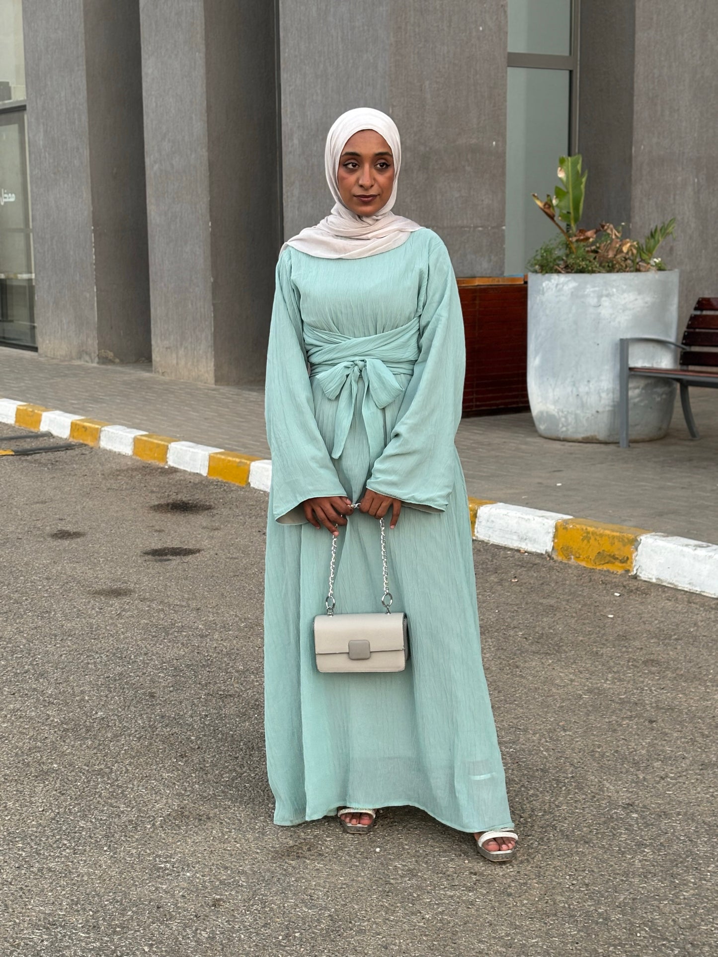 Elara Chiffon Dress